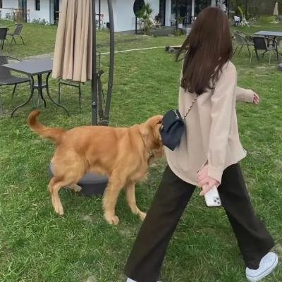 魅力四射2 封面